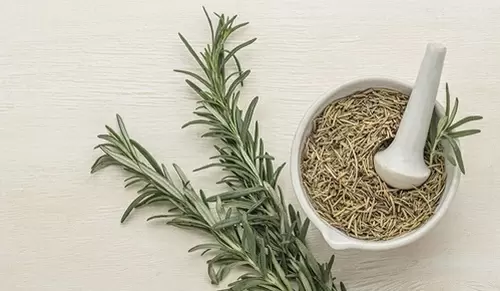 Beneficios del romero en la menopausia